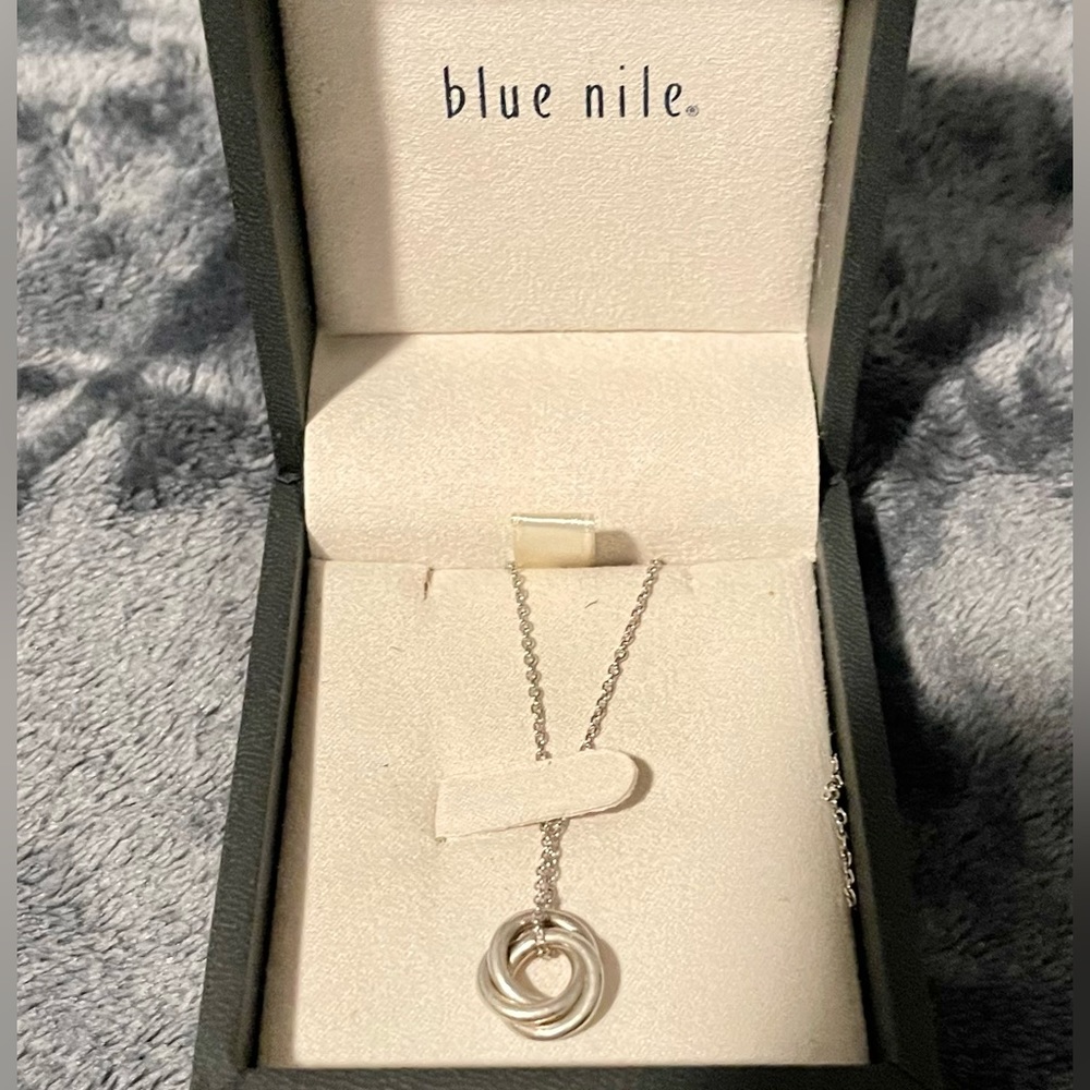 Blue Nile Sterling Silver Interlocked Ring Necklace